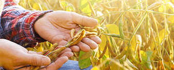 BSJ - Empresas - Financiacion - home-agroinsumos-agri-liquid-solutions
